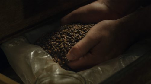 Sturchler bière orge