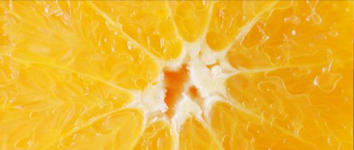 Fil&m culinaire orange fruit