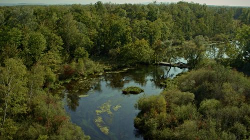 Terre de Jeux rivière bateaux