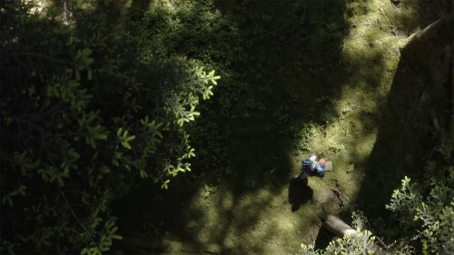 Stetson forêt chapeau