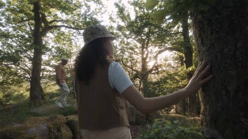 Stetson forêt chapeau