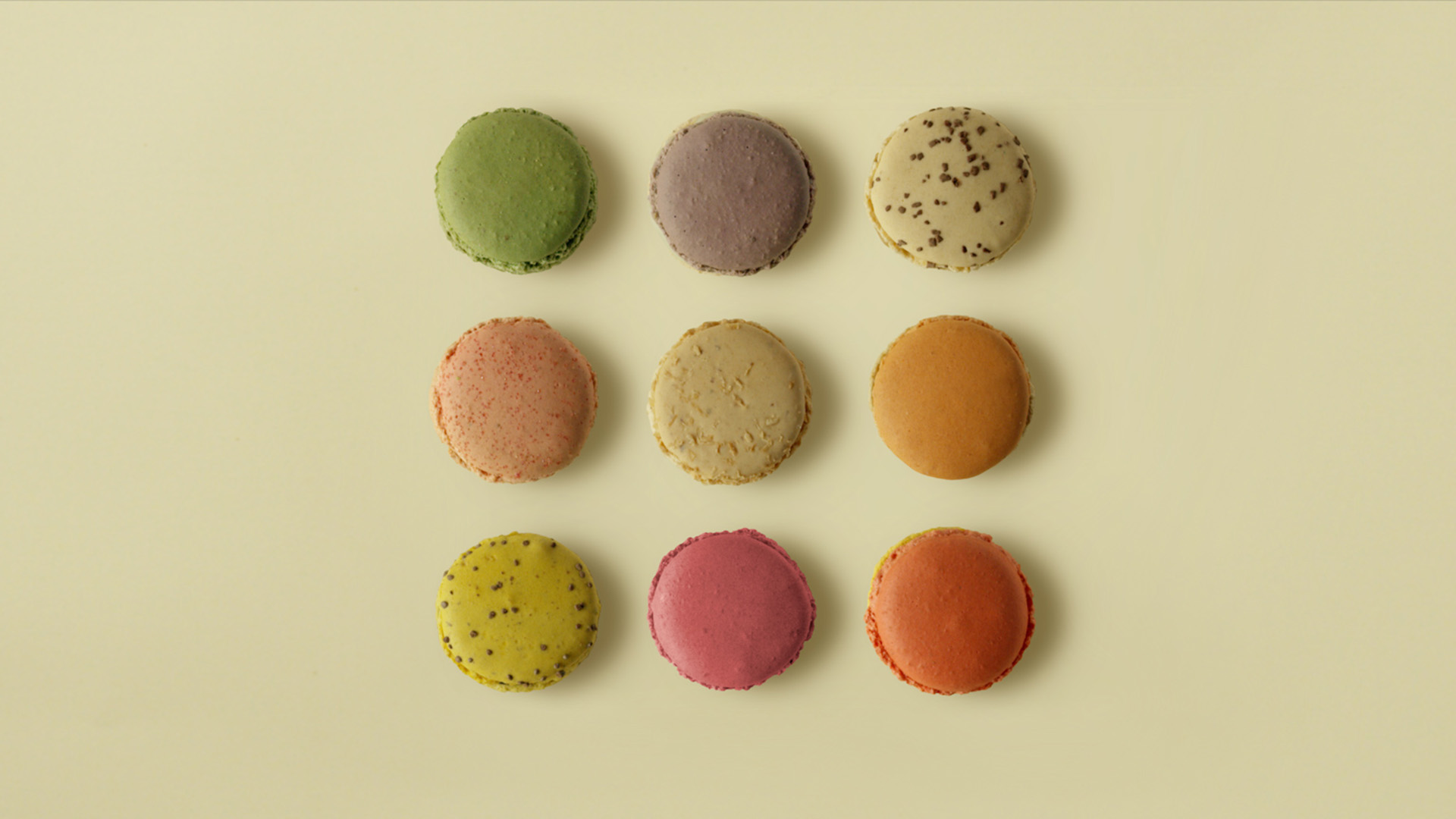 Chocolaterie Le Lautrec