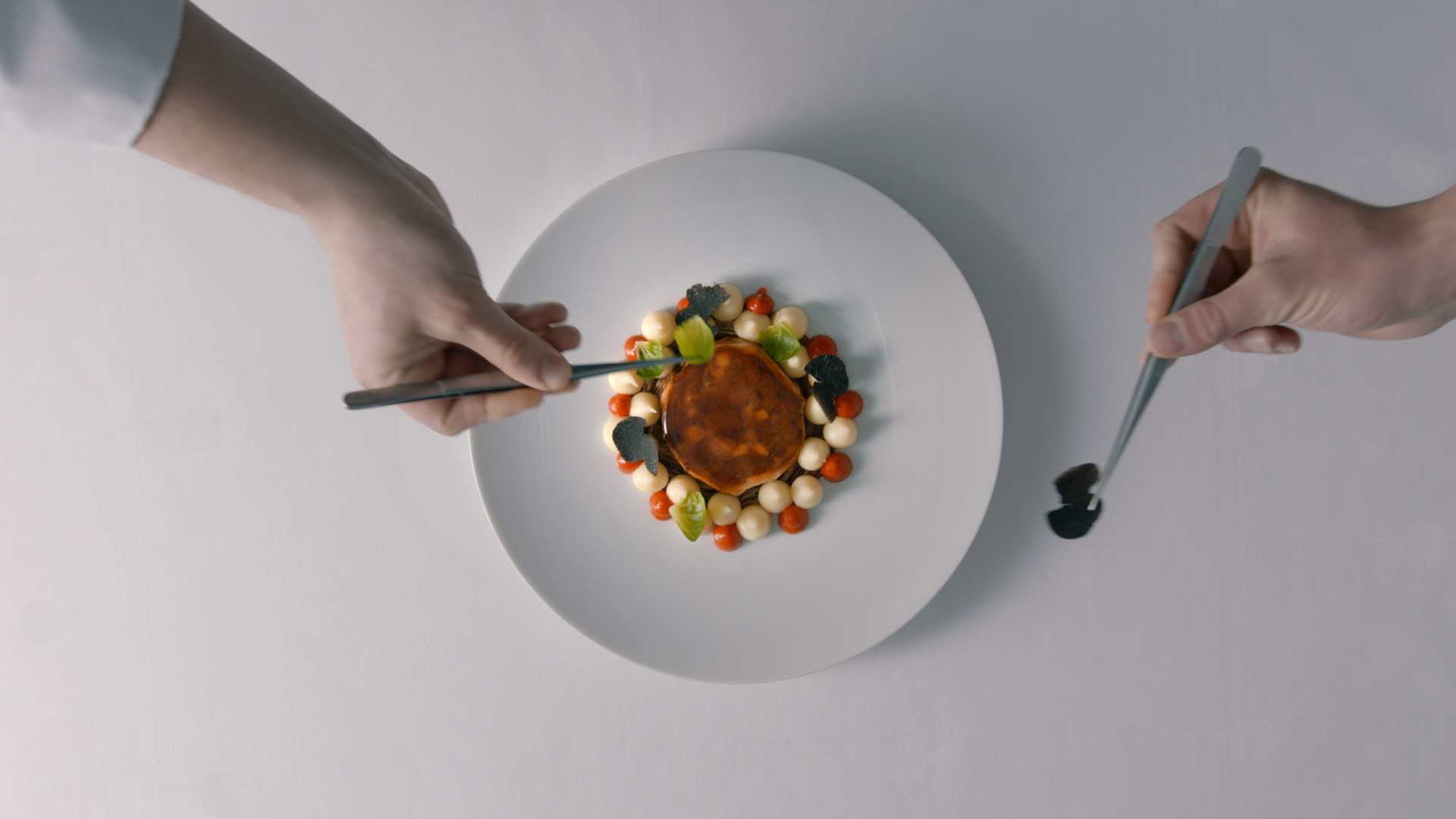 L&rsquo;Odyssée de l&rsquo;Alsace