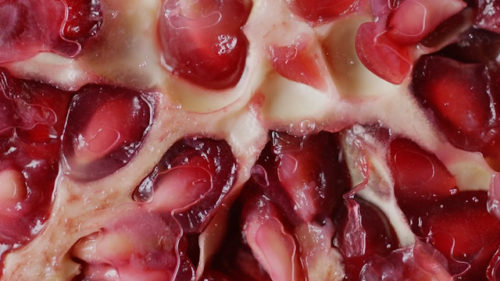Nourriture fruit tarte