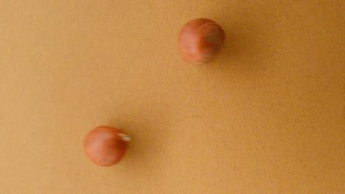 noisettes roulent