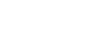 logo ancel