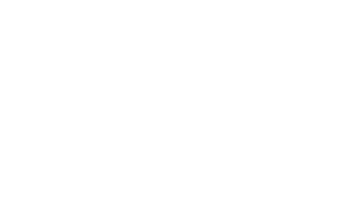 logo lavie