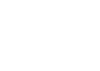 logo velcorex