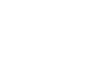 logo zeyssolff