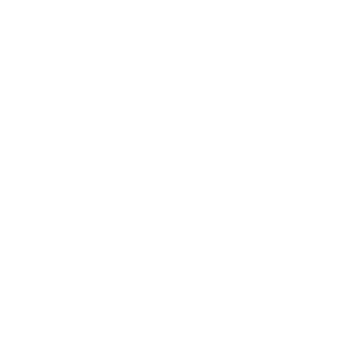 rossignol corporate logotype shield white